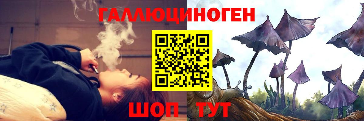 Псилоцибиновые грибы ЛСД  Галлюциногенные грибы MAGIC MUSHROOMS  закладка  Вход с VPN  Красный Сулин 